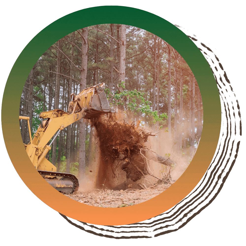 Land & Lot Clearing image