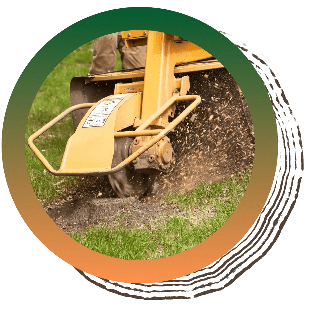 Stump Grinding & Removal image