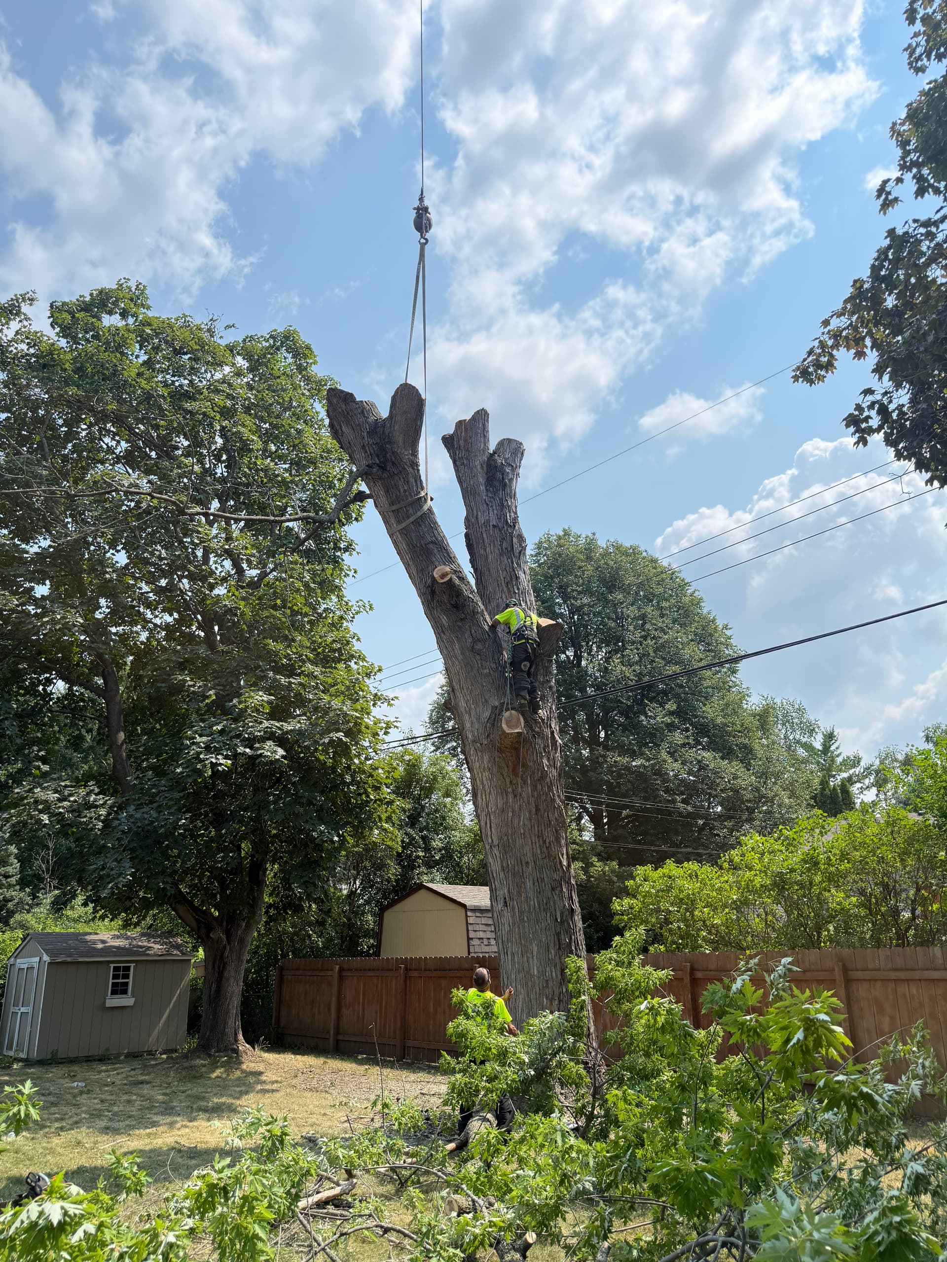 Gallery photos for Silver Maple Crane Removal in a Tight Plymouth Backyard: Image #1