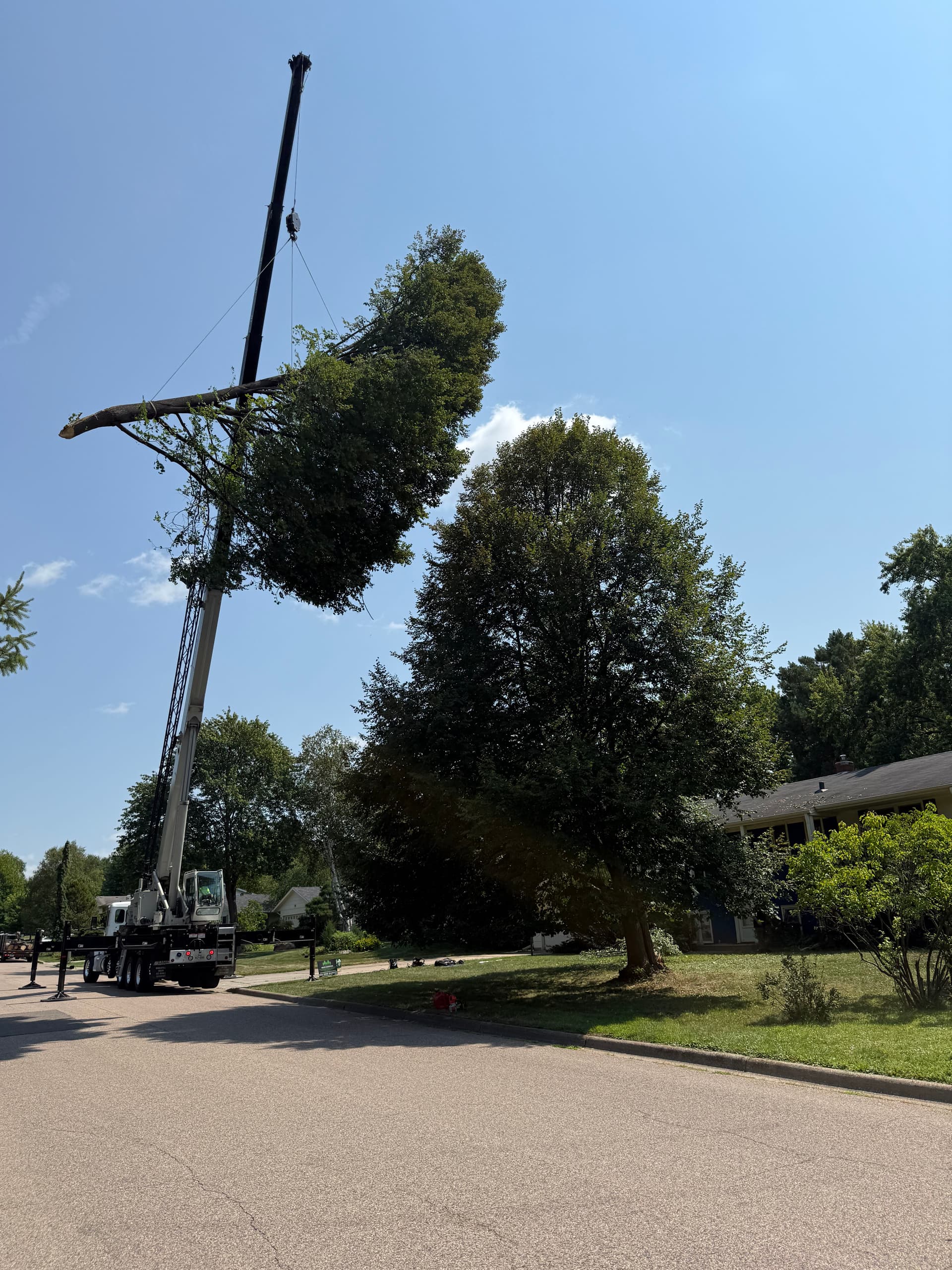 Gallery photos for Storm Damage Tree Removal in Roseville Minnesota: Image #2