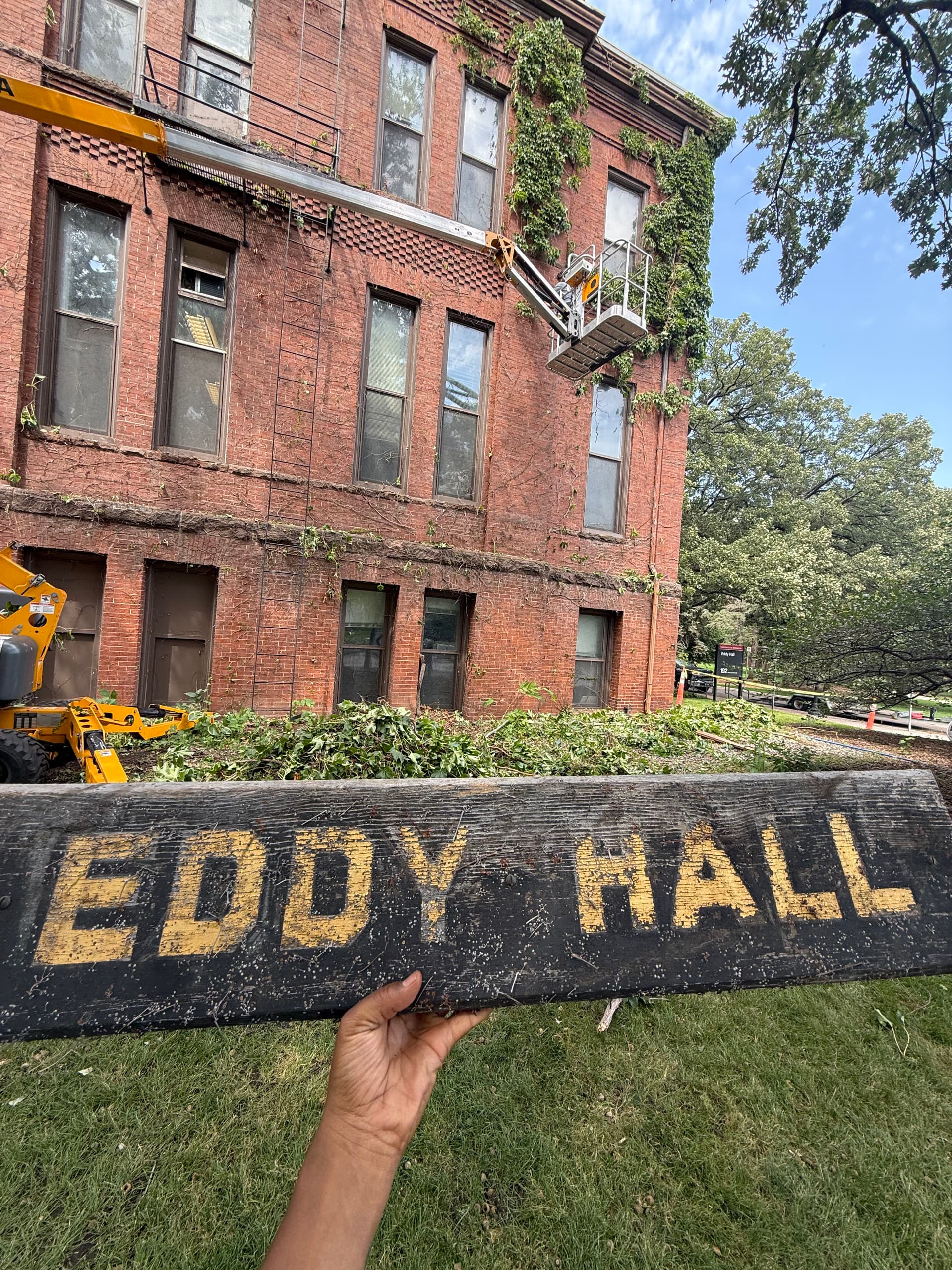 Gallery photos for Tree Removal at Eddy Hall - University of Minnesota: Image #2