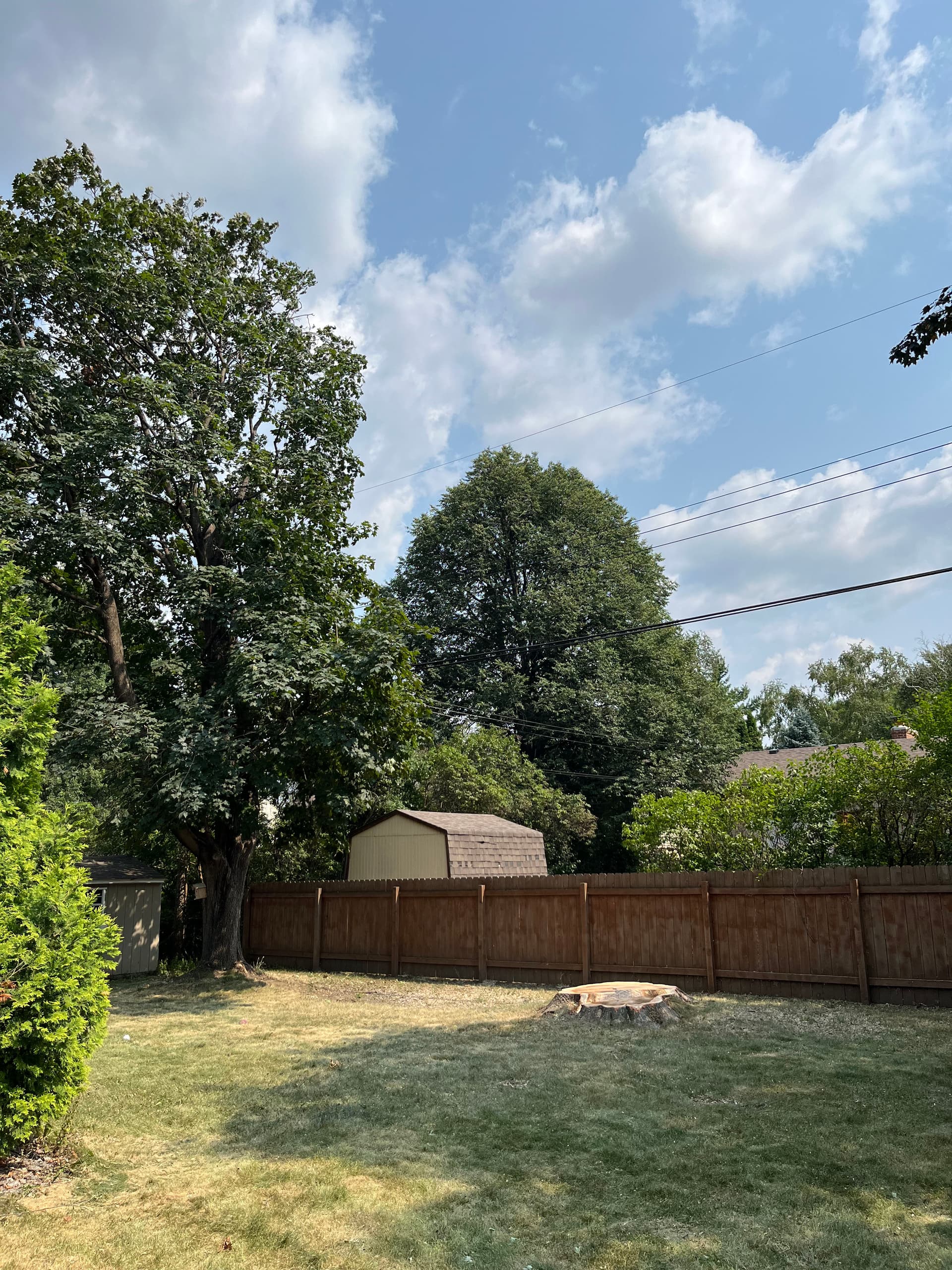 Gallery photos for Silver Maple Crane Removal in a Tight Plymouth Backyard: Image #3