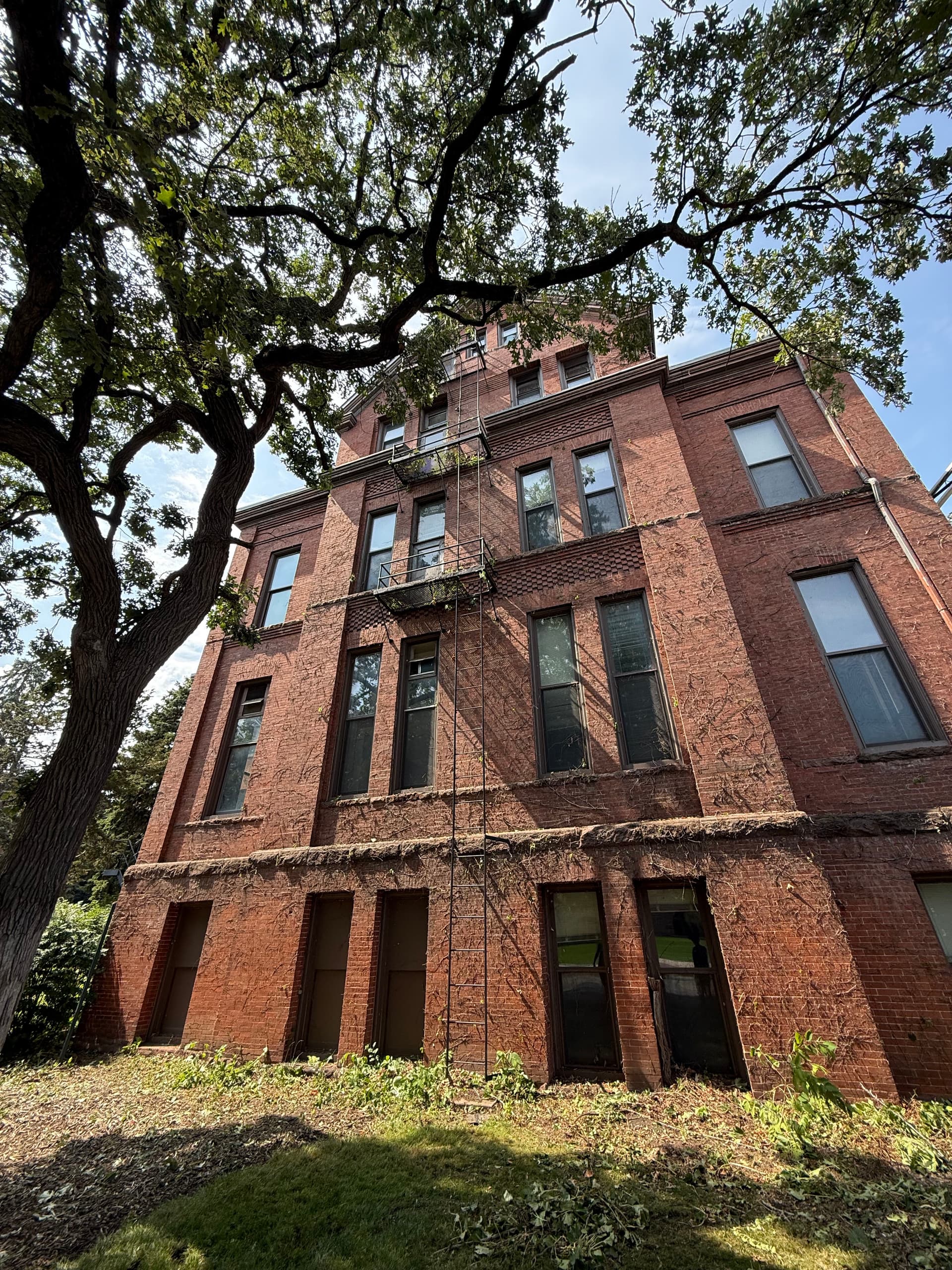 Gallery photos for Tree Removal at Eddy Hall - University of Minnesota: Image #3
