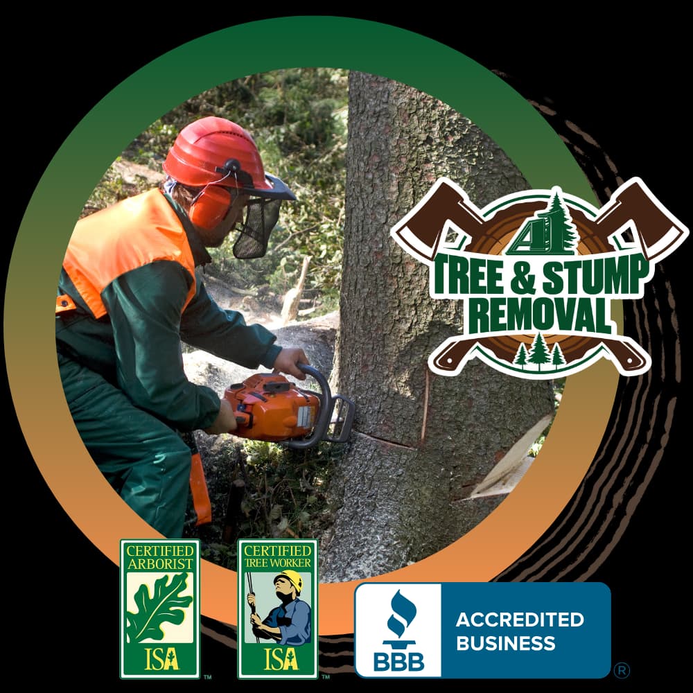 Tree & Stump Removal | Expert Tree Services Minneapolis | A1 Tree ...